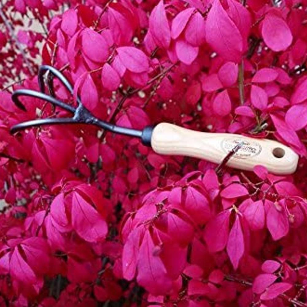 DeWit 3-Tine Cultivator