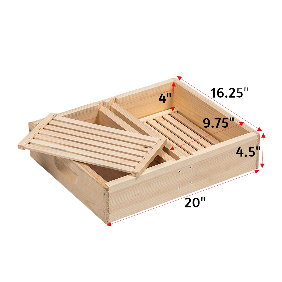 10-Frame Top Feeder with Floats for Hive