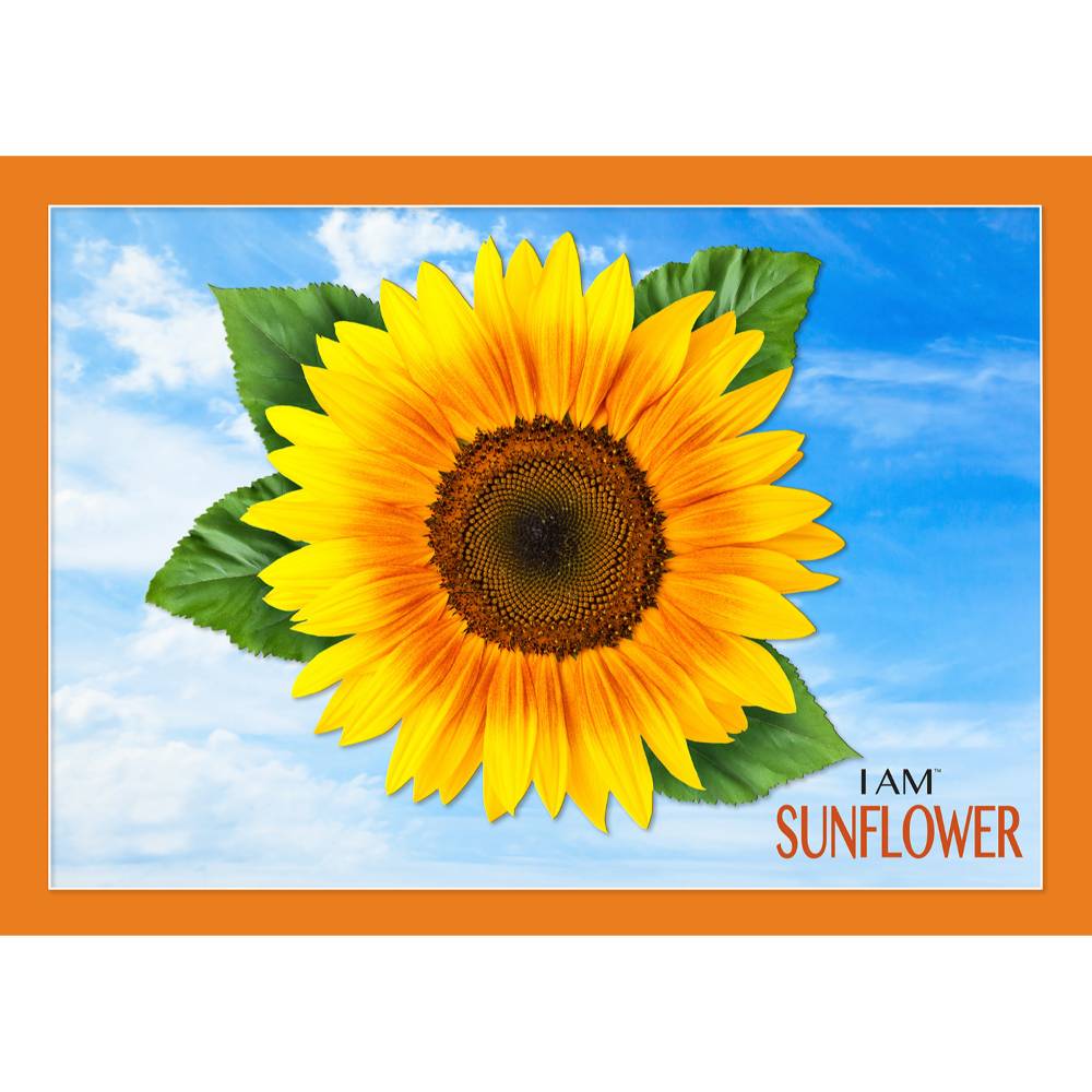Shaped Jigsaw Puzzle - Sunflower- 350pcs
