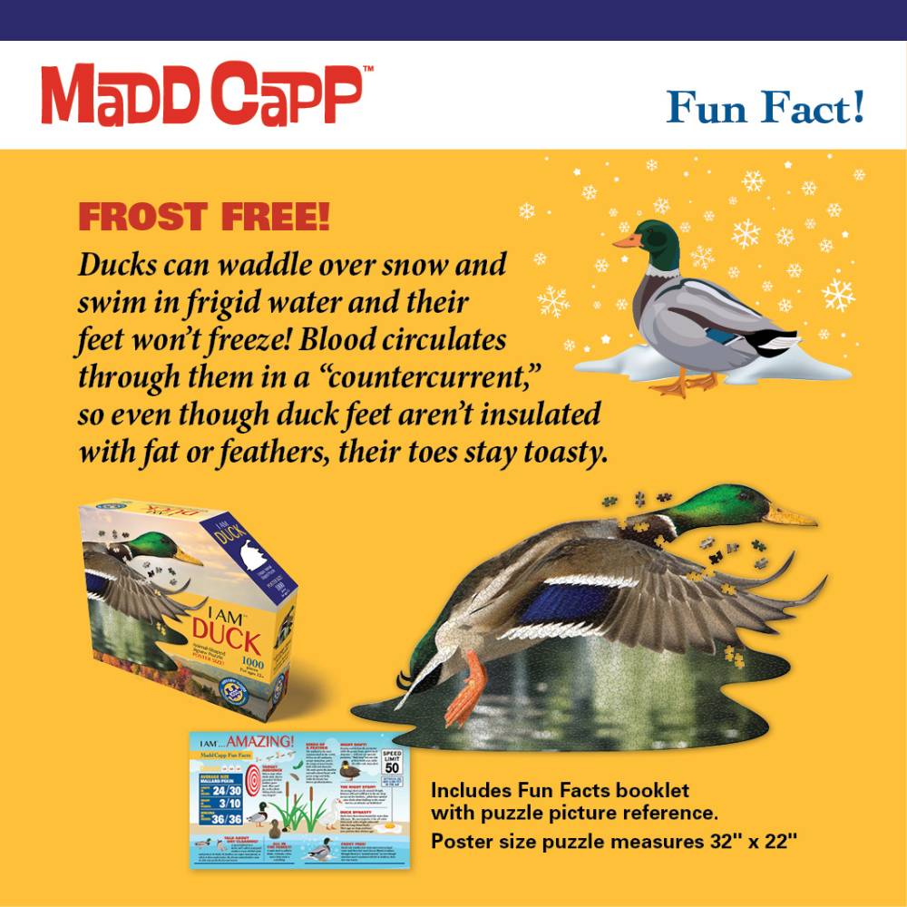 Shaped Jigsaw Puzzle - Duck - 1000pcs