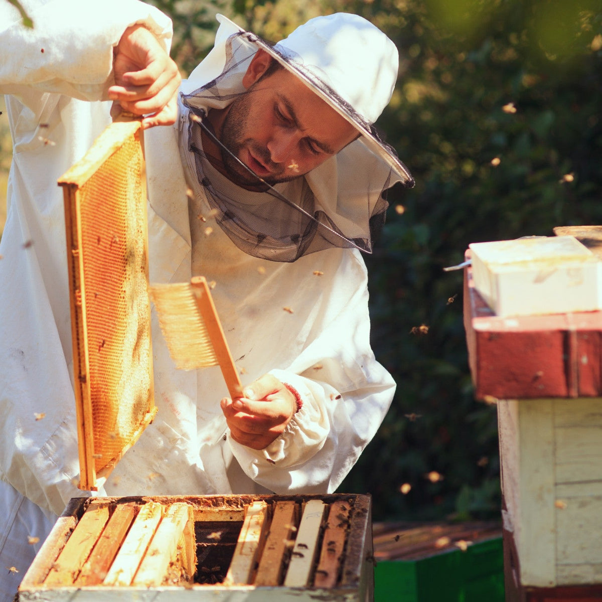 5-Frame Deep Nuc Bee Box - Assembled/Wooden
