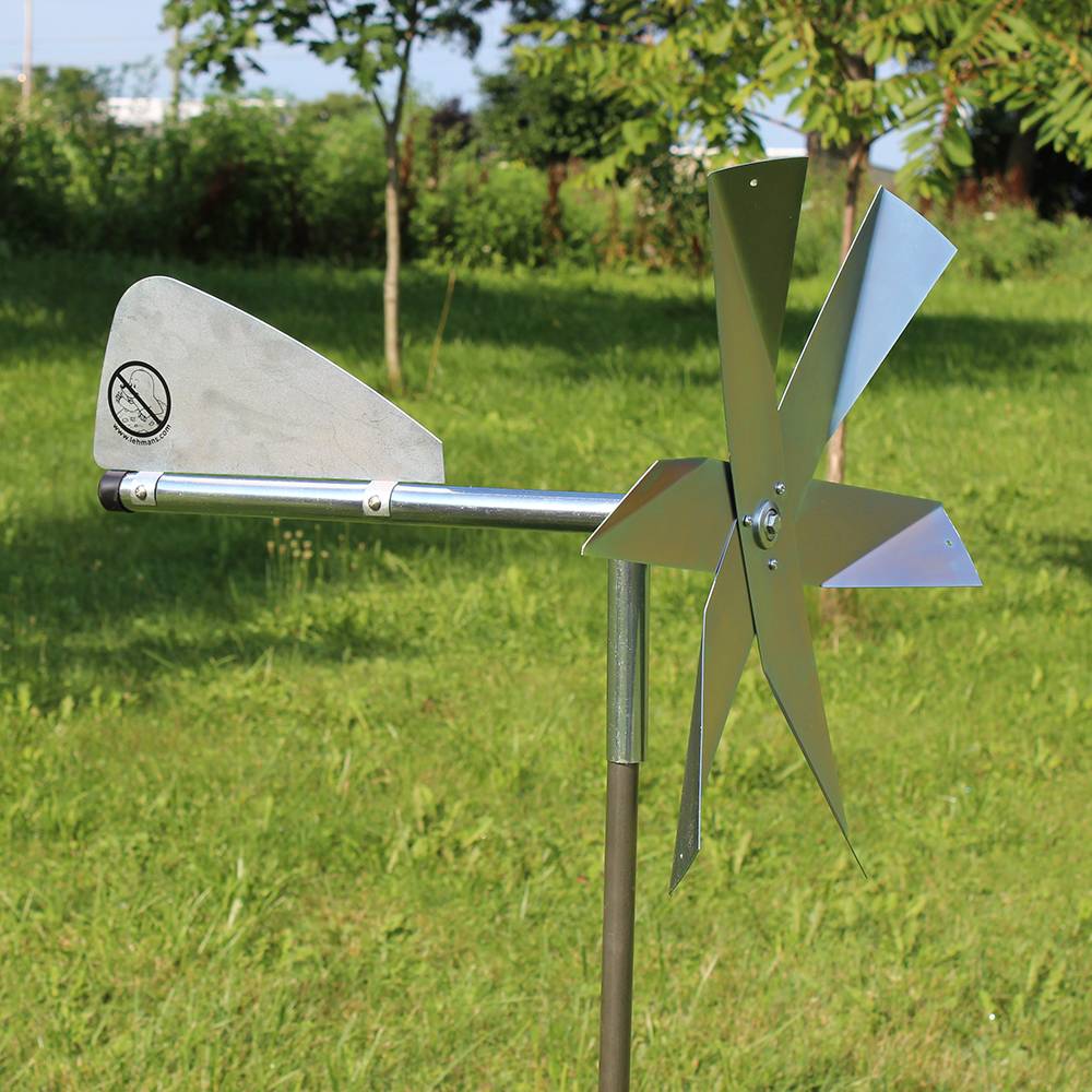Mole Chasing Windmill