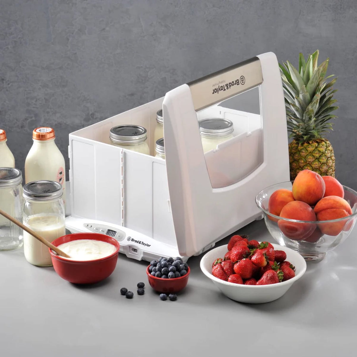 Brod & Taylor Folding Bread Proofer and Slow Cooker