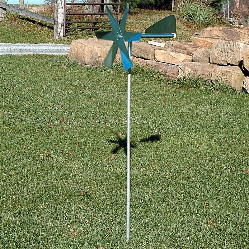 Mole Chasing Windmill