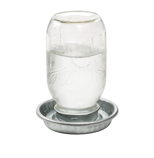 Jar Chicken Waterer