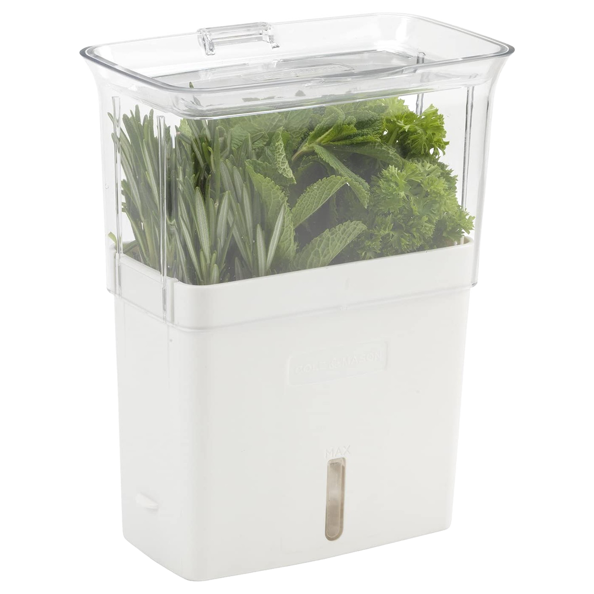 Fresh-Cut Herb Keeper