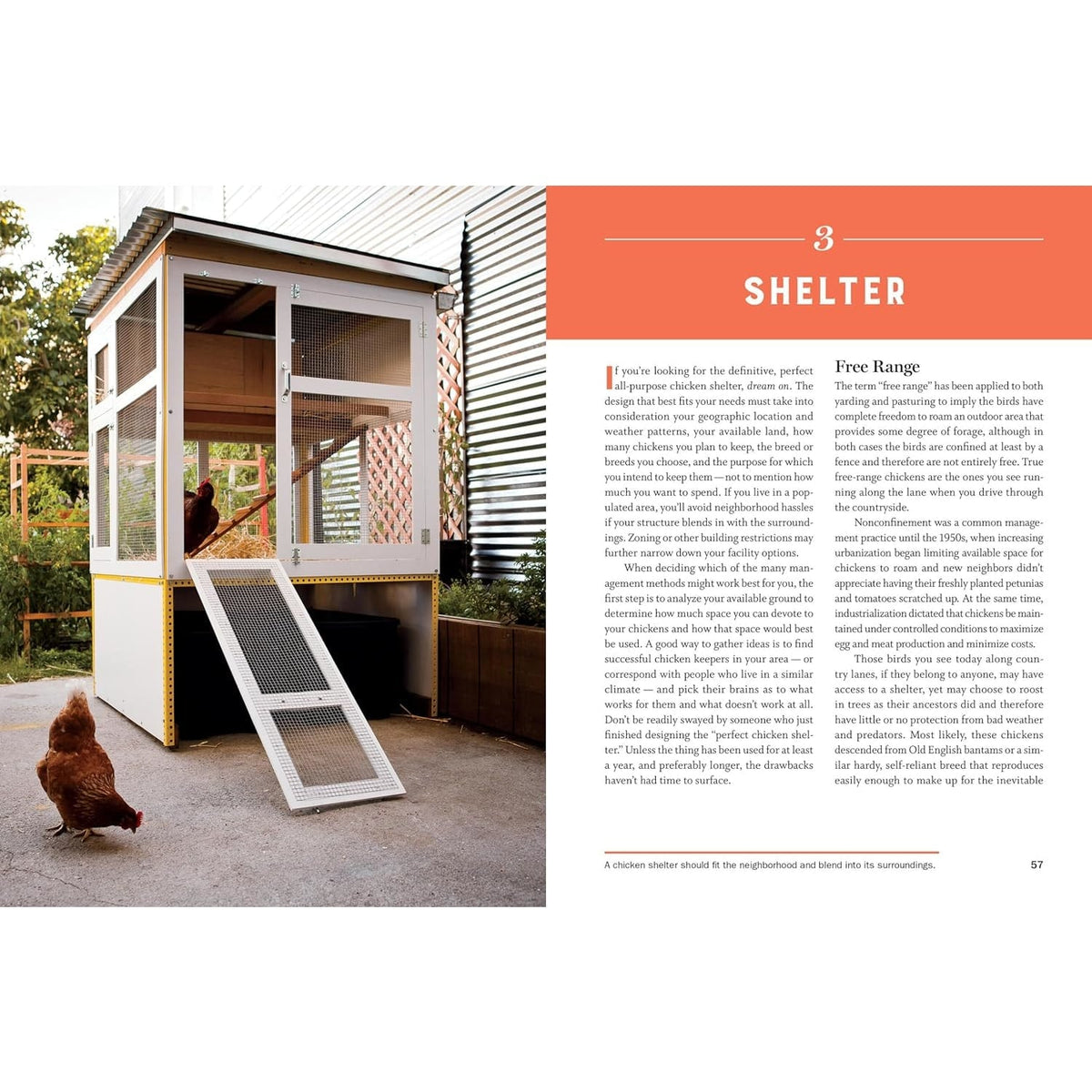 Storey's Guide to Raising Chickens Book