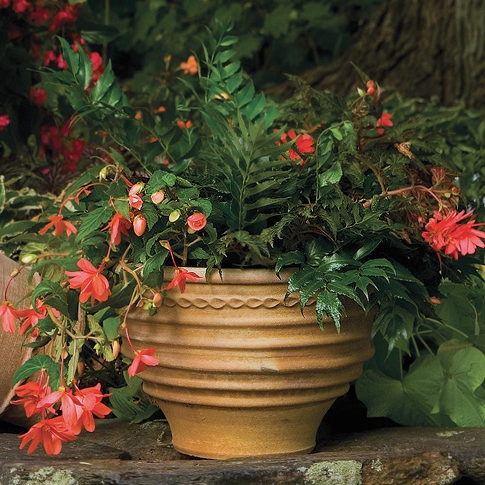Cretan Pot Kioupi