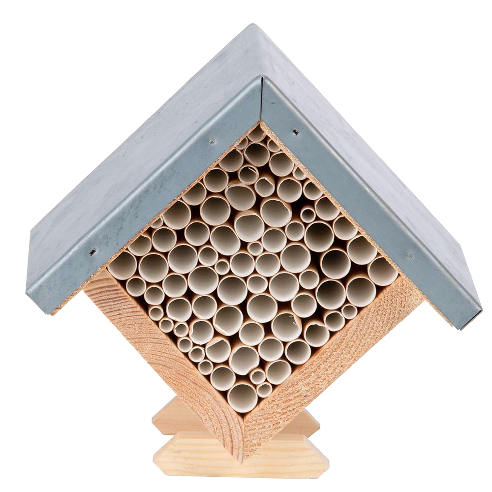 Square Bee House