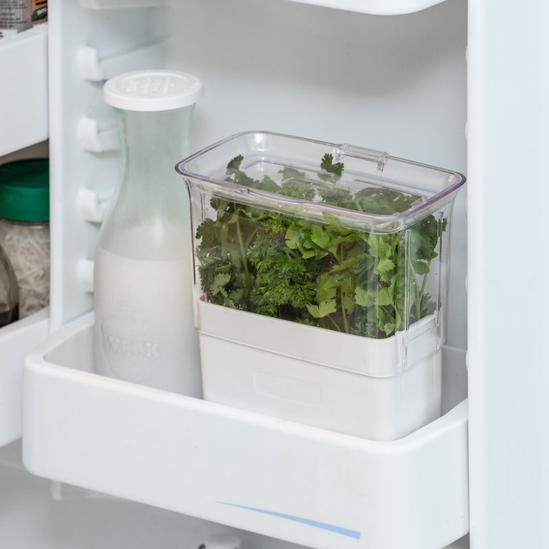 Fresh-Cut Herb Keeper