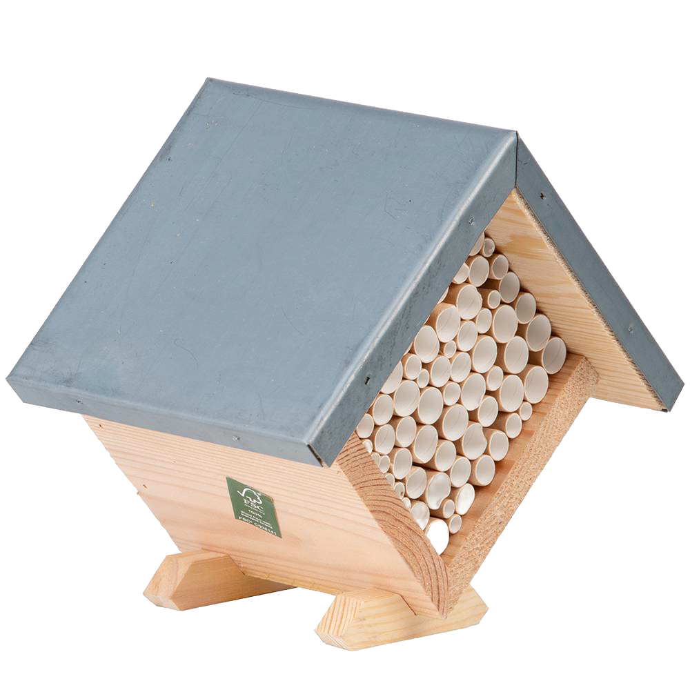 Square Bee House