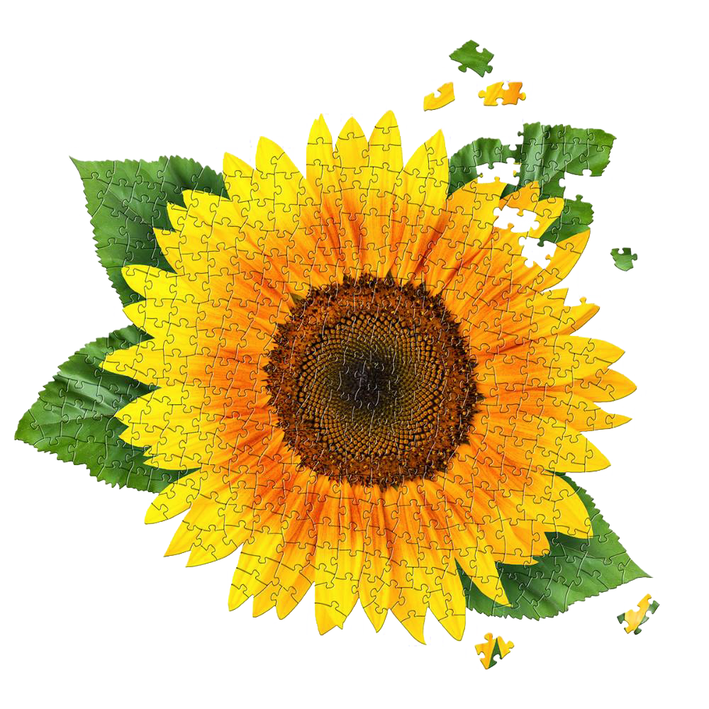 Shaped Jigsaw Puzzle - Sunflower- 350pcs