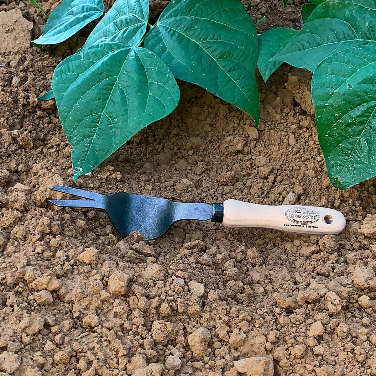 DeWit Weedpopper Garden Tool