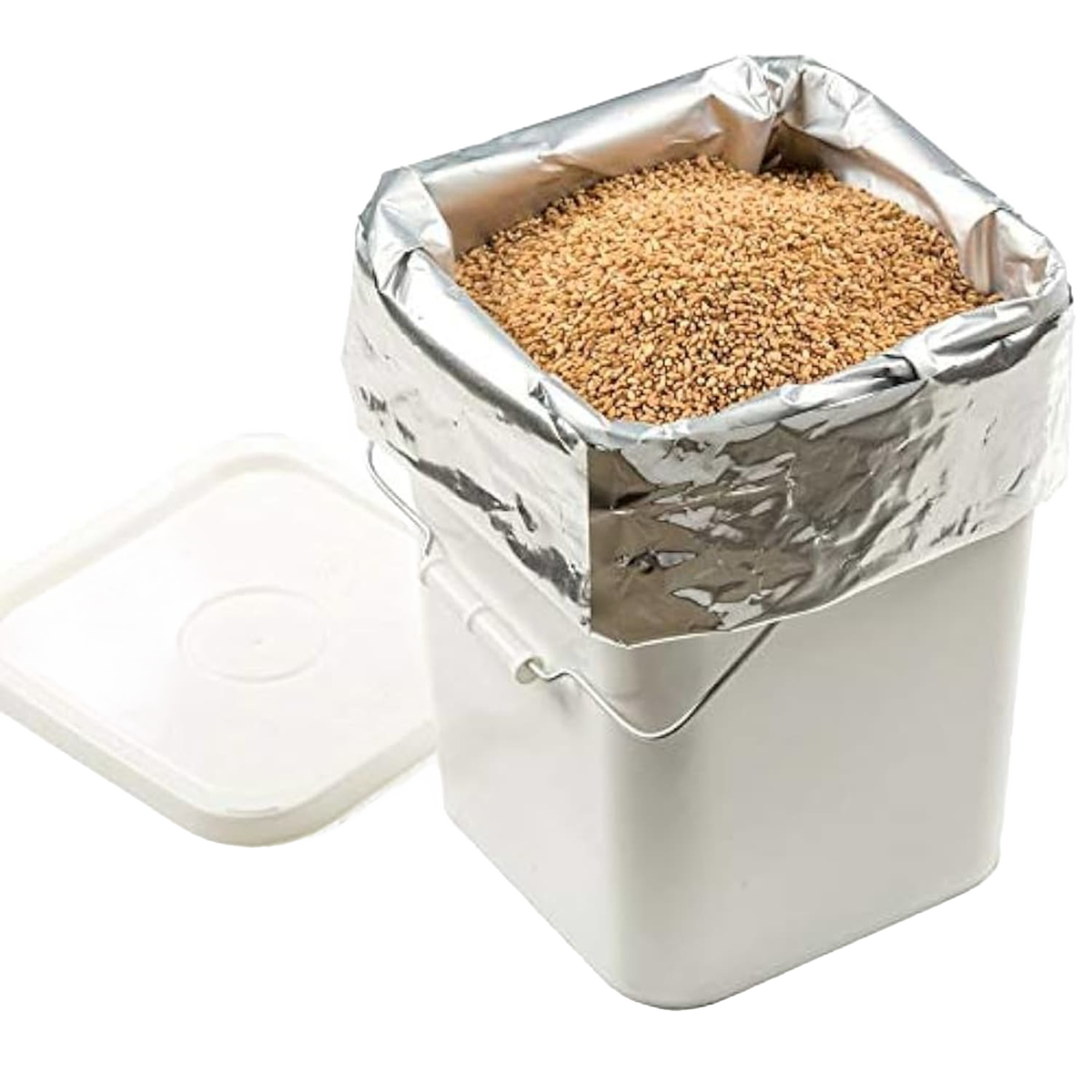 Mylar Bags - Large (Pack of 10)