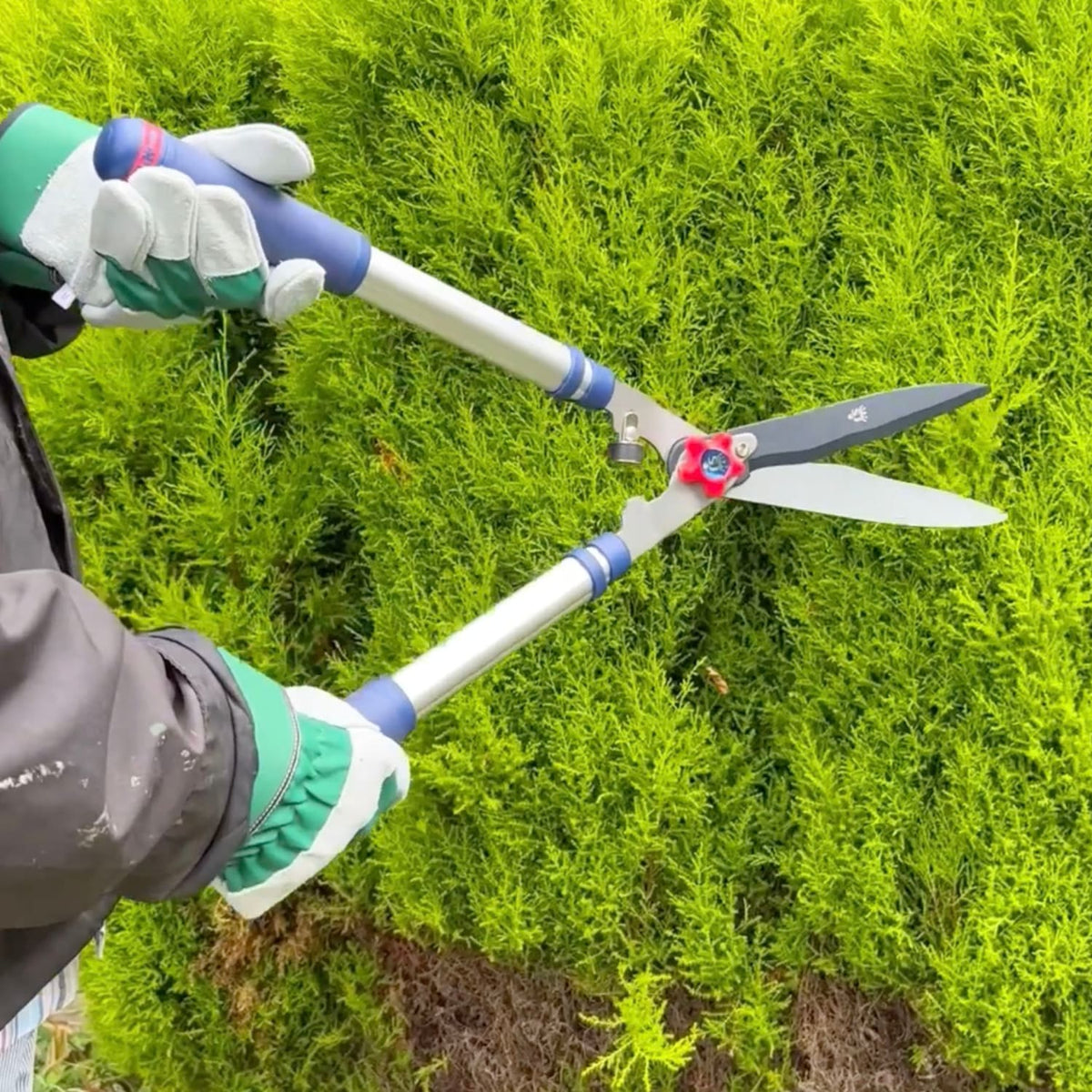 Spear & Jackson Razorsharp Telescopic Hedge Shears