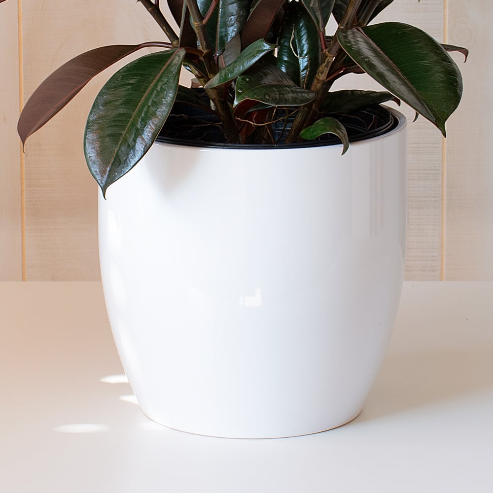 White Ceramic Cachepot, large