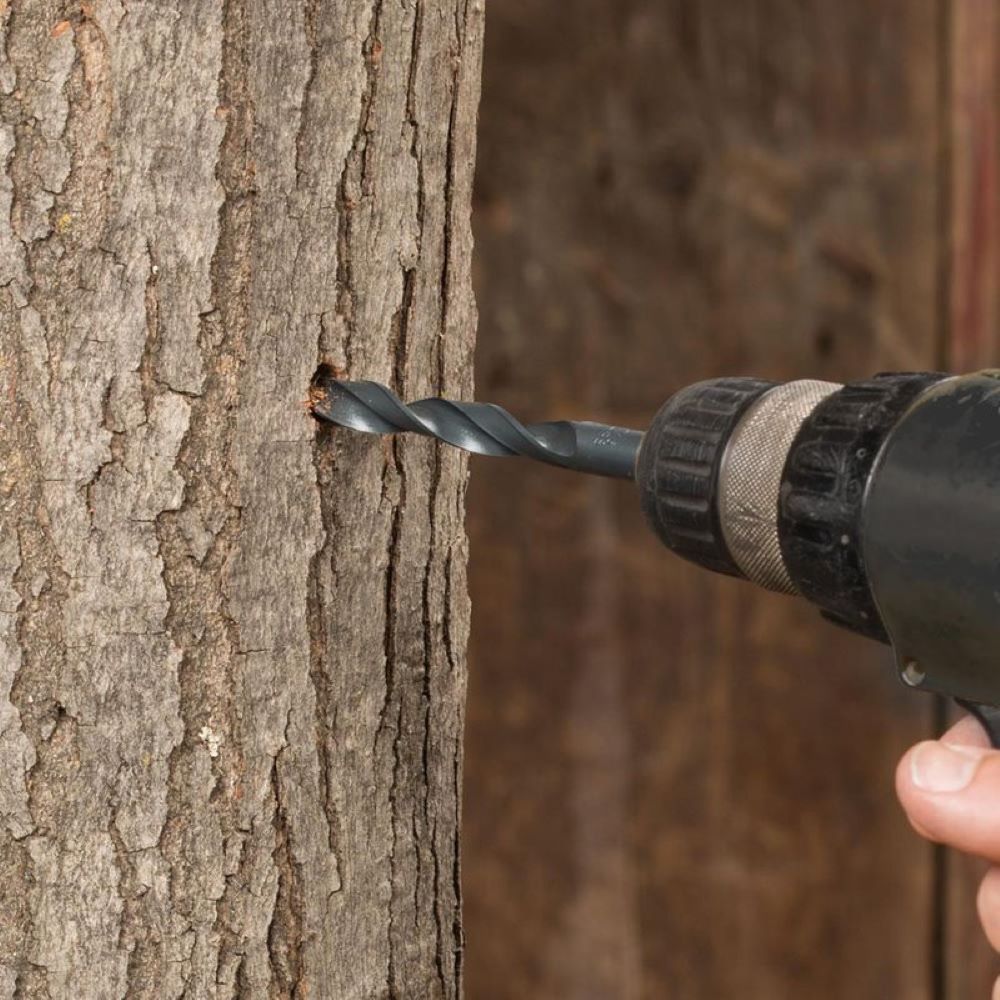 3-Tree Sap Collection Kit