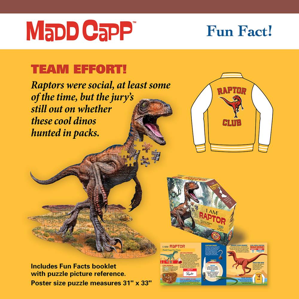 Shaped Jigsaw Puzzle - Raptor - 100pcs