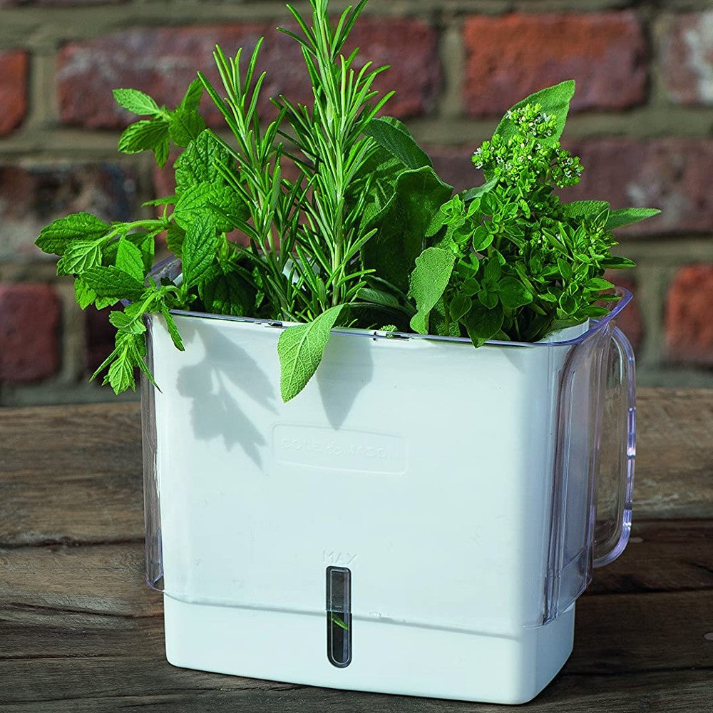 Fresh-Cut Herb Keeper