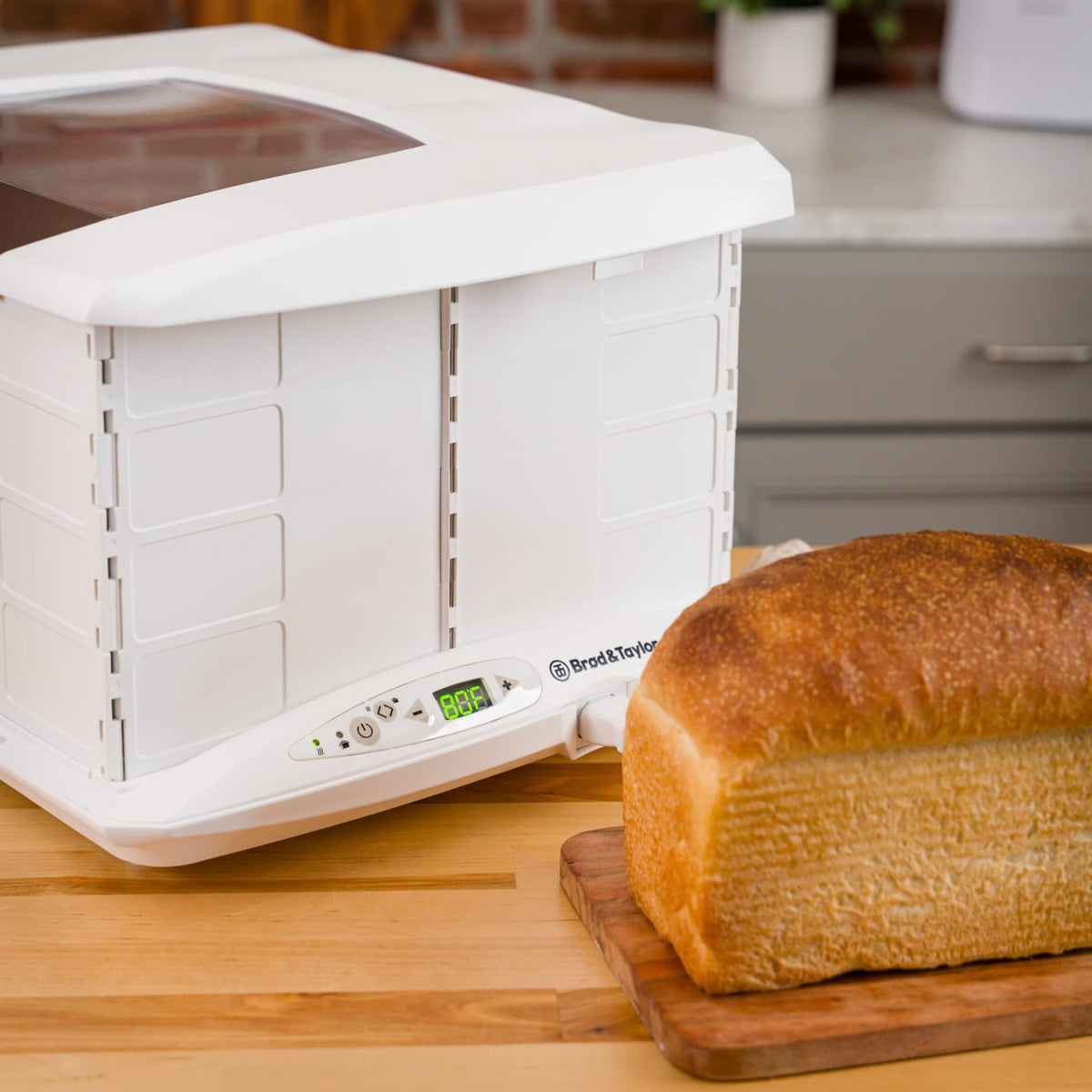 Brod & Taylor Folding Bread Proofer and Slow Cooker