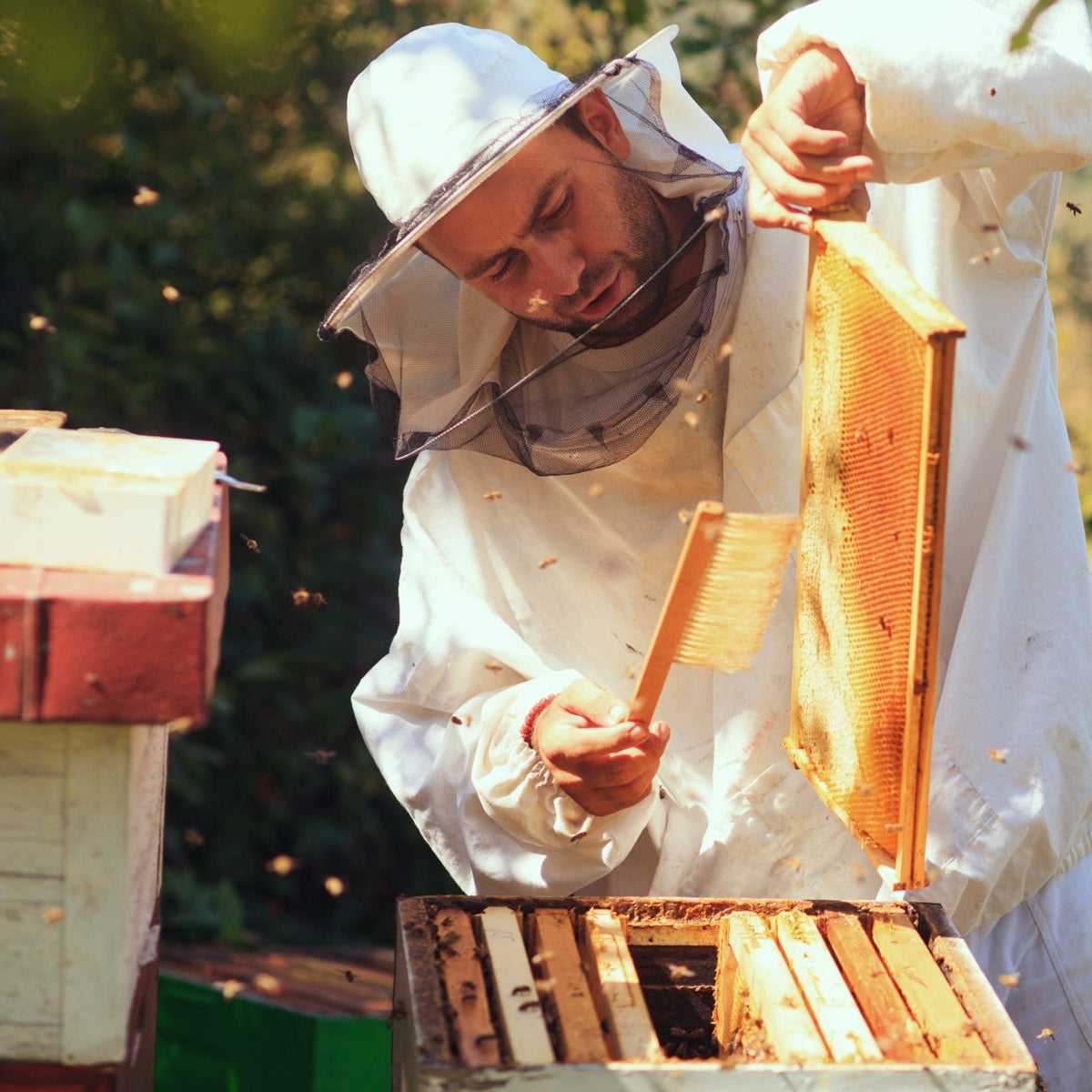Deep Wood Bee Frame with Heavy Waxed Plastic
