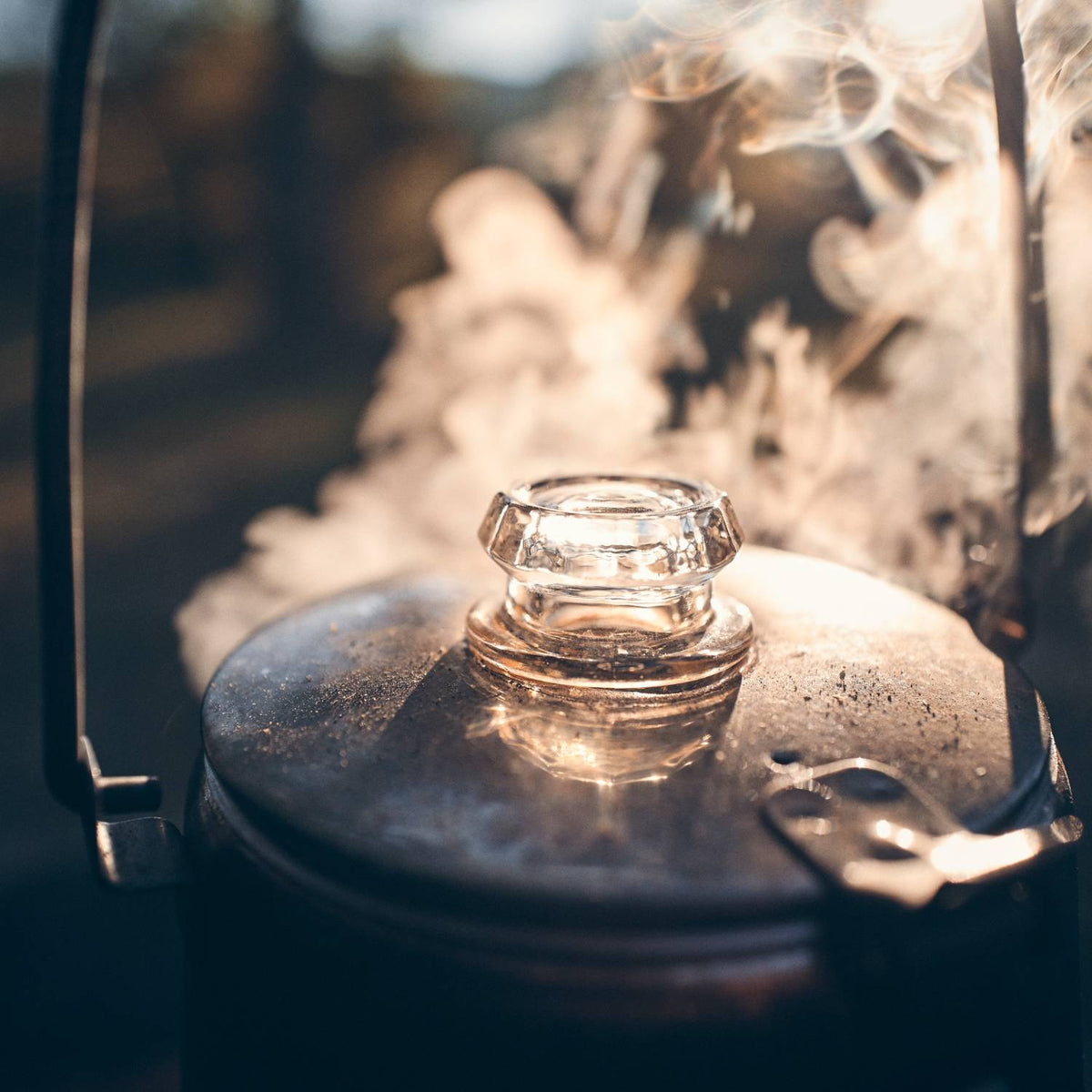 Petromax Glass Knob for Perkomax Percolator