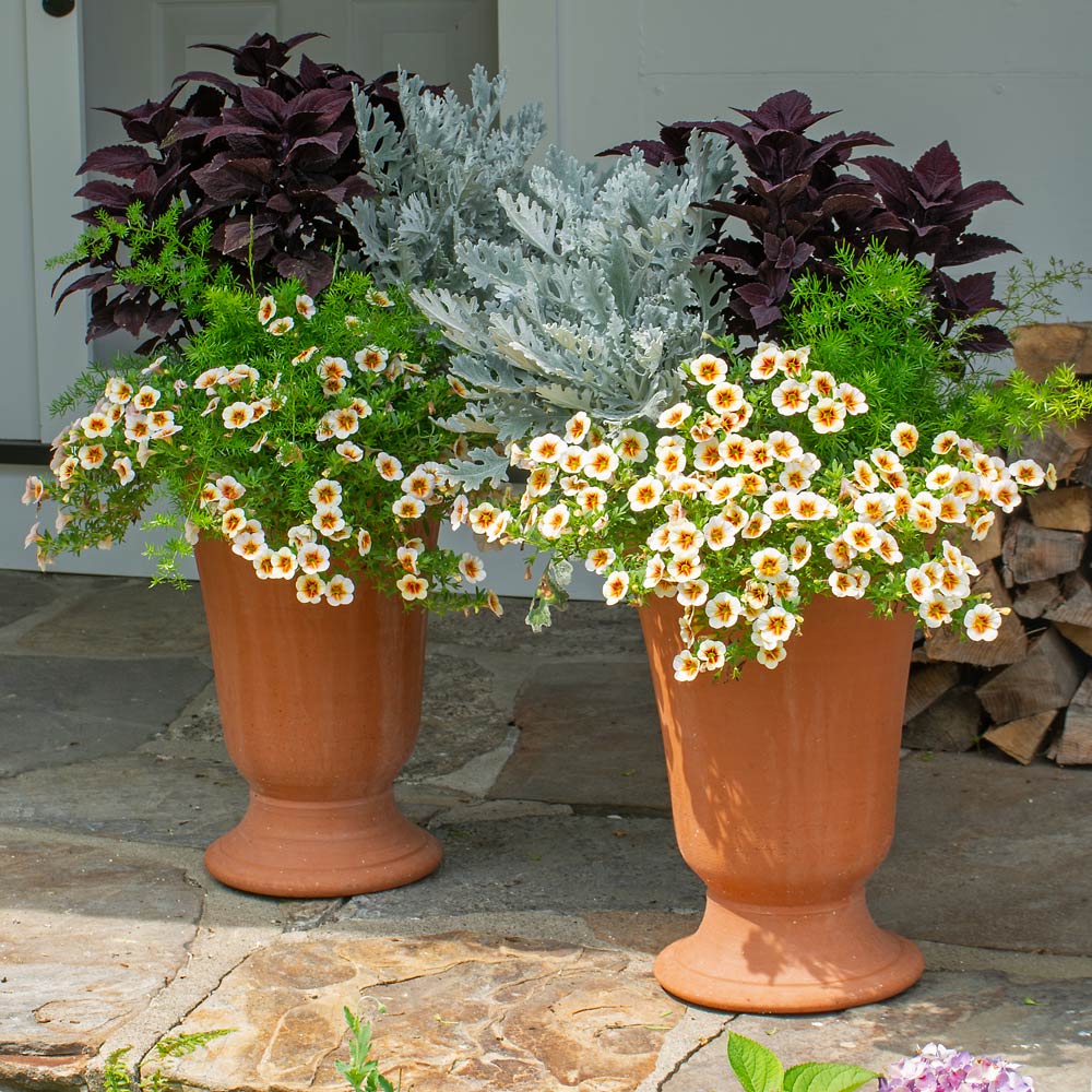 Whichford Feldon Urn