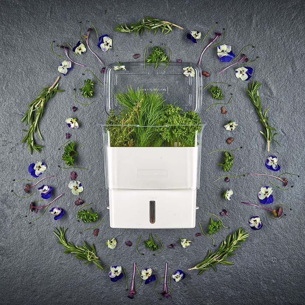 Fresh-Cut Herb Keeper