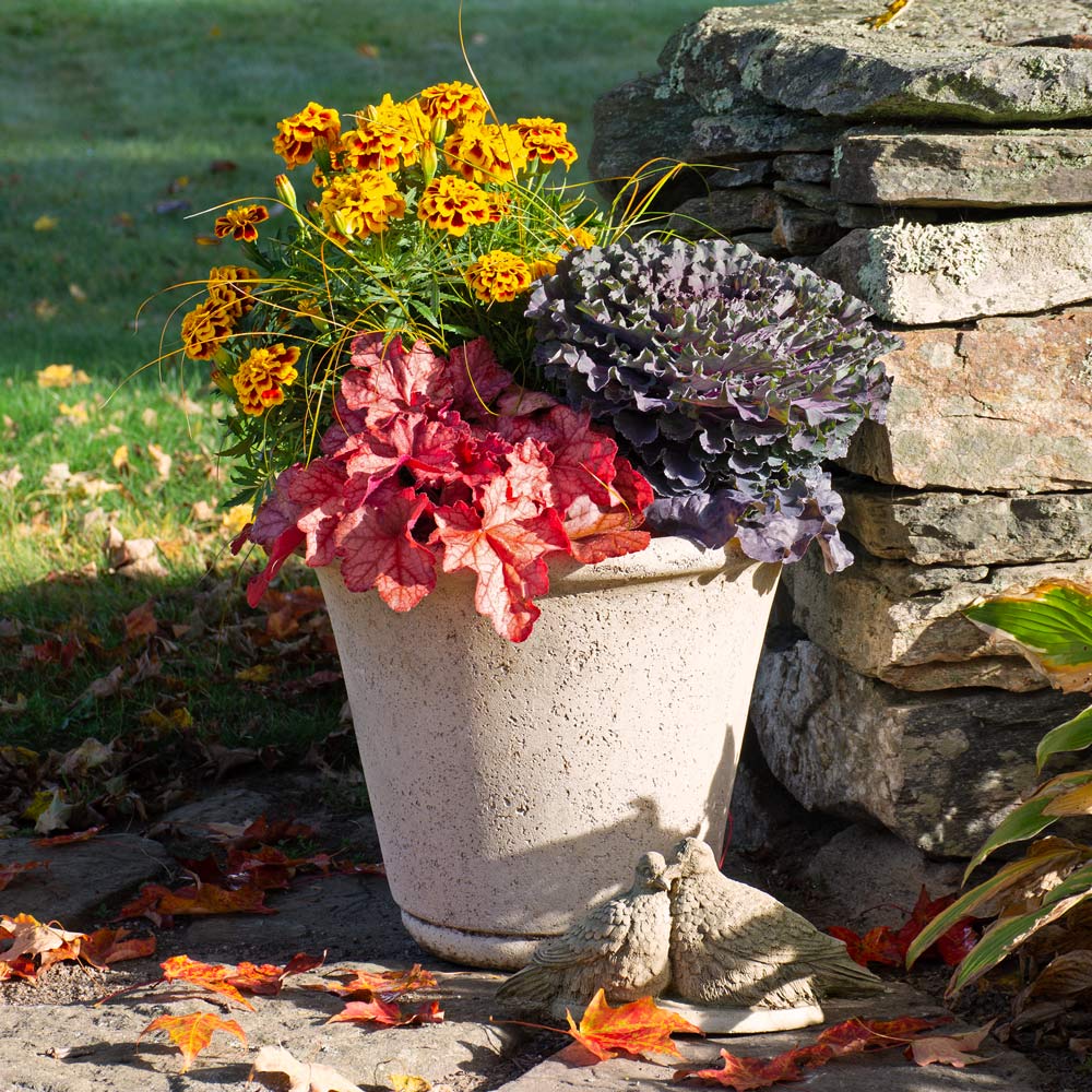 Back-to-School Fall Container Garden
