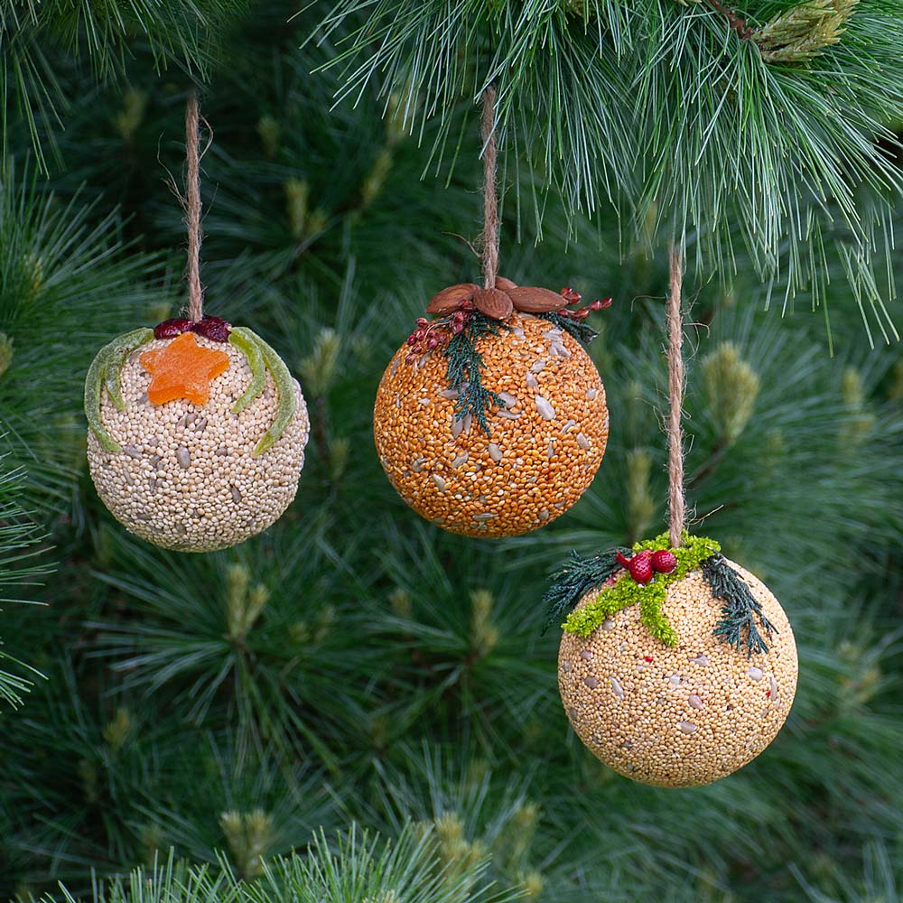 Birdseed Fruit Ornament Trio