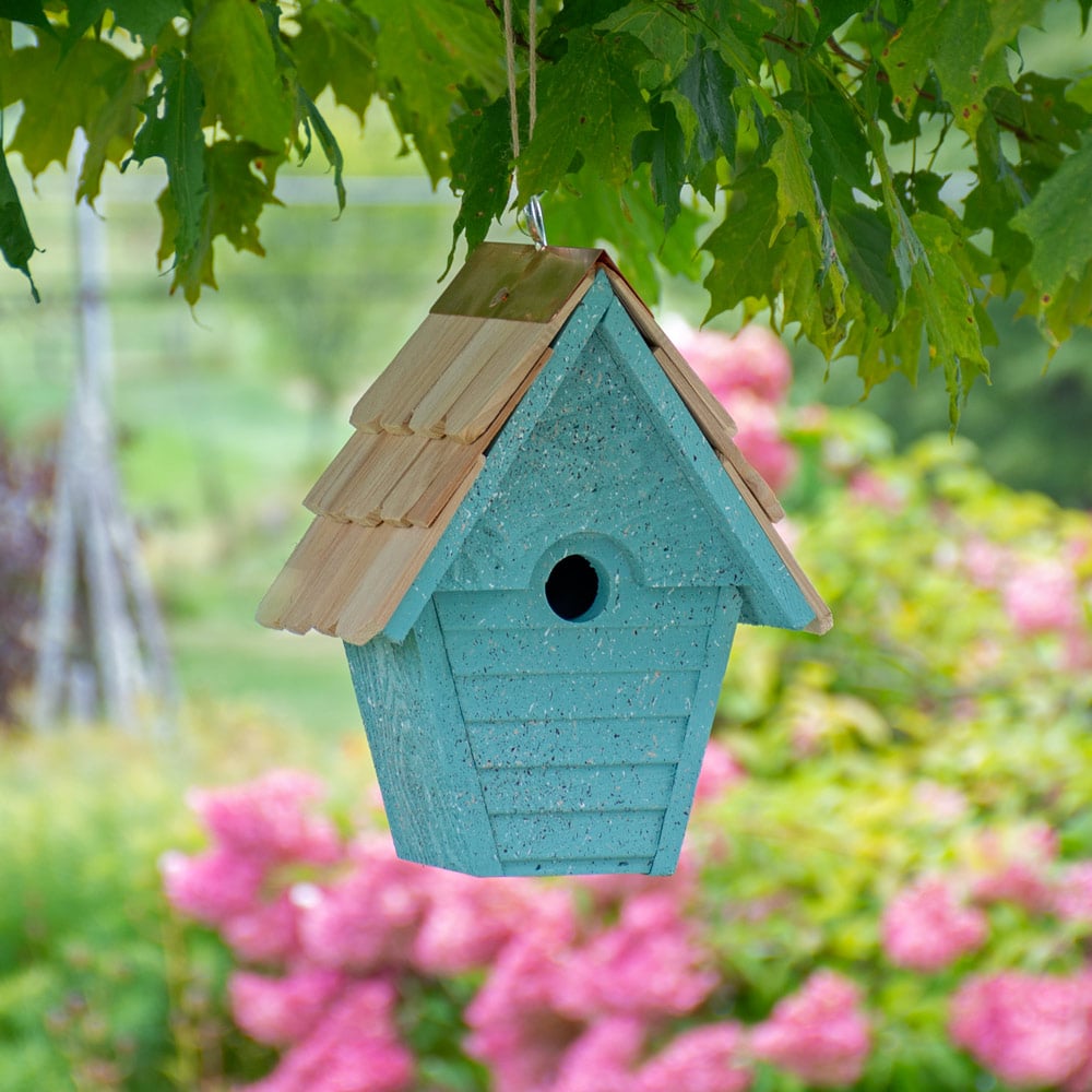 Wren-in-the-Wind House, Blue Eggshell