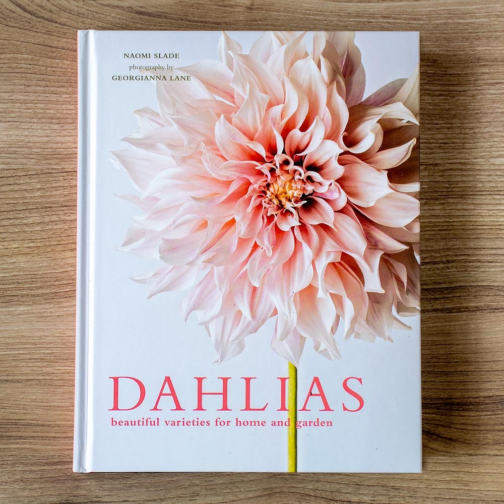 Dahlias: Beautiful Varieties for Home and Garden