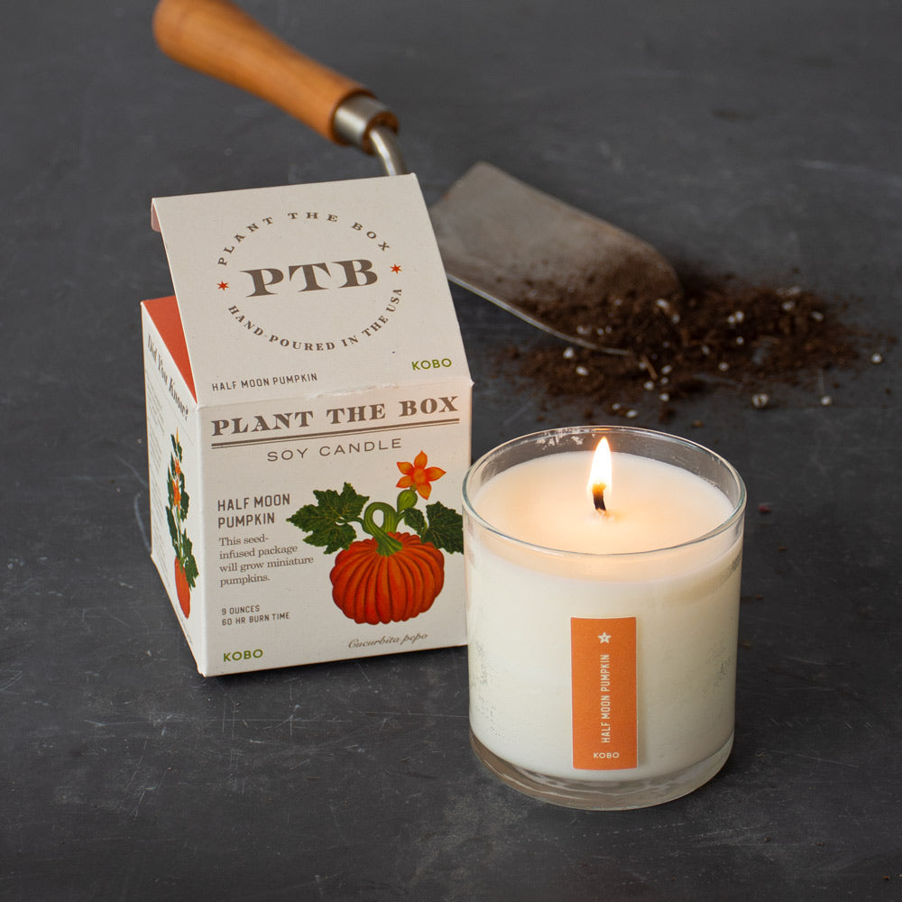 Plant the Box Half Moon Pumpkin Candle