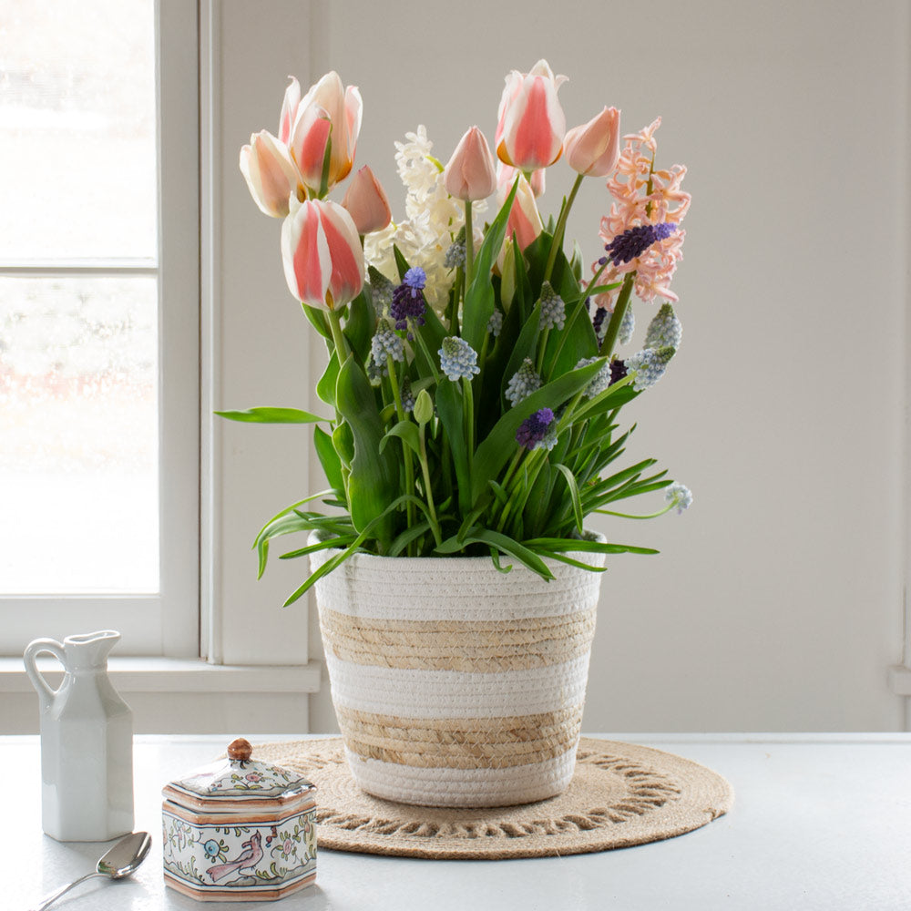 Whisper of Springtime Bulb Garden in medium striped jute basket
