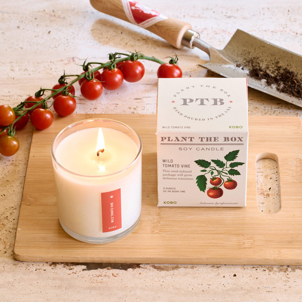 Plant the Box Wild Tomato Vine Candle