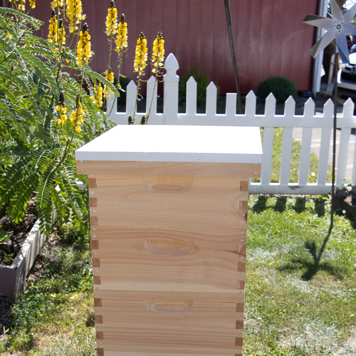 10-Frame Telescoping Metal Cover for Hive
