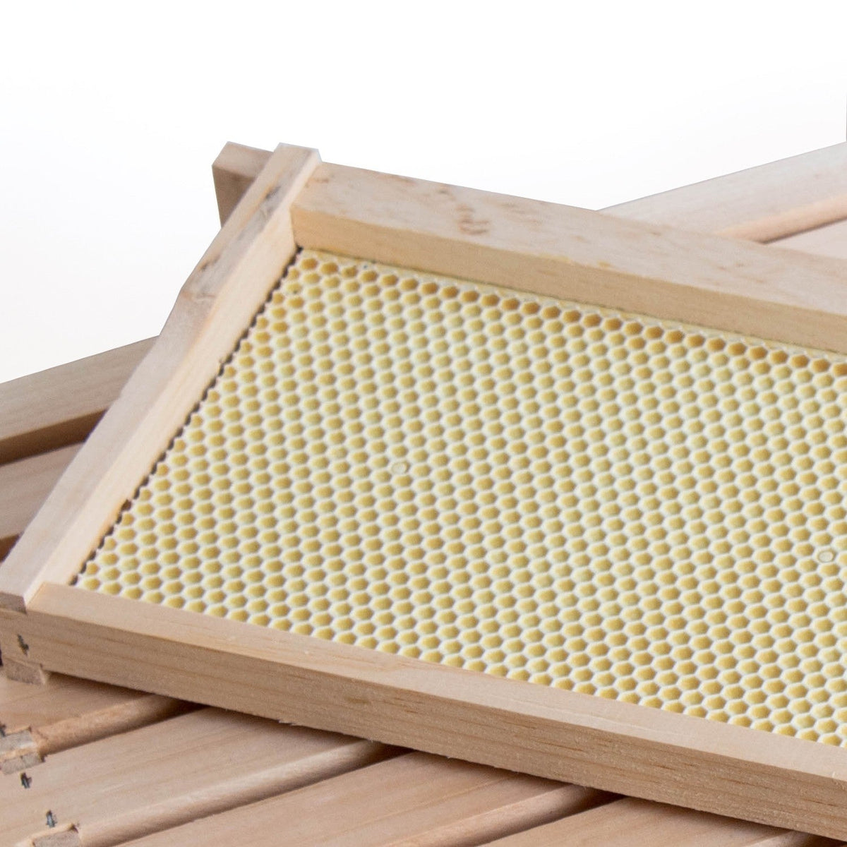 Medium Wood Bee Frame with Heavy Waxed Plastic