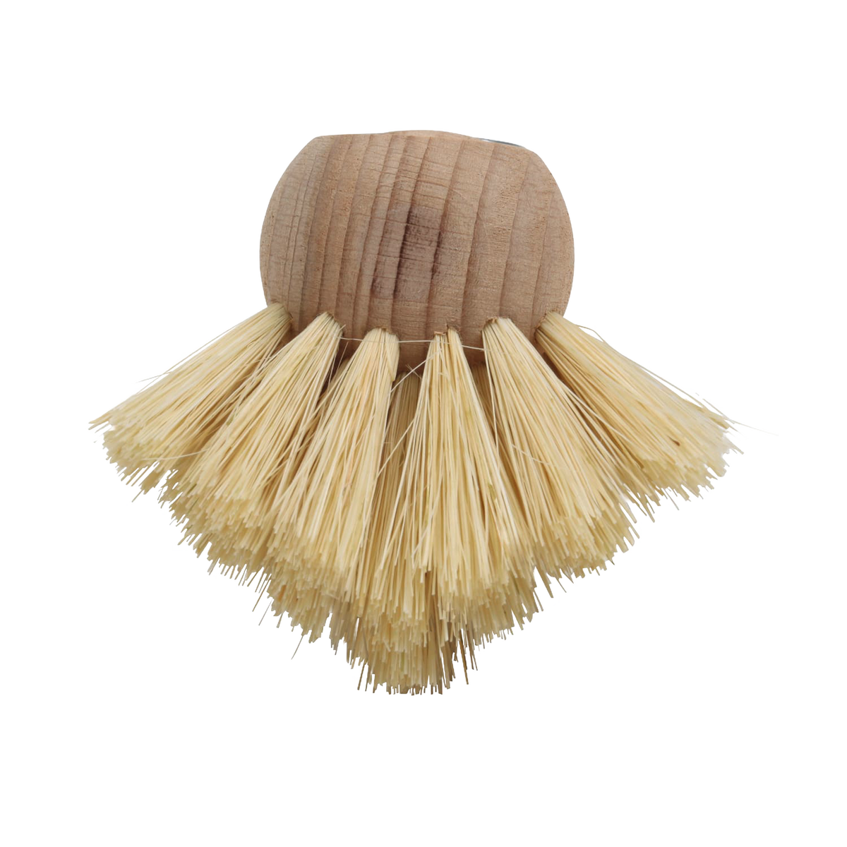 Shower and Tub Scrubber Head with Tampico Bristles