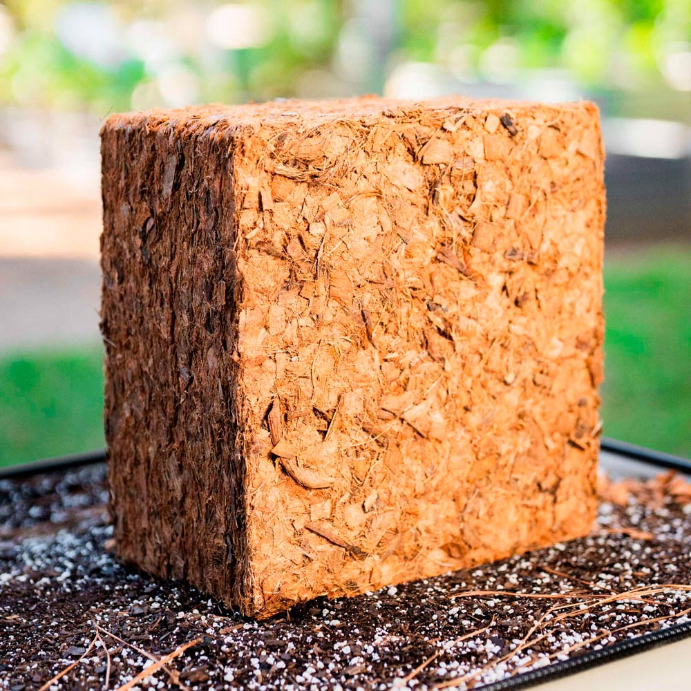 Coco Mulch