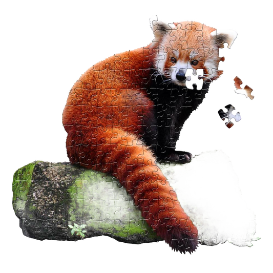Shaped Jigsaw Puzzle - Red Panda - 100pcs