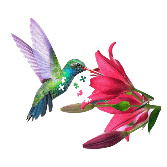 Shaped Jigsaw Puzzle - Hummingbird - 300pcs