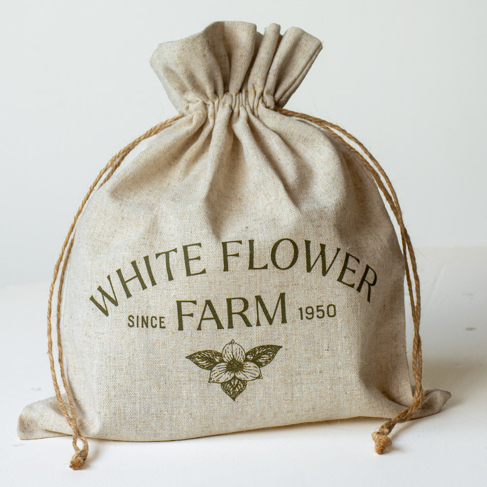 Amaryllis 'Velvet Nymph,' one bulb in linen bag