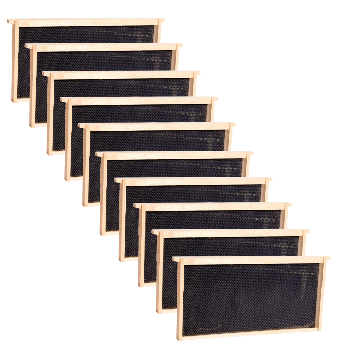 Deep Wood Bee Frame with Heavy Waxed Plastic