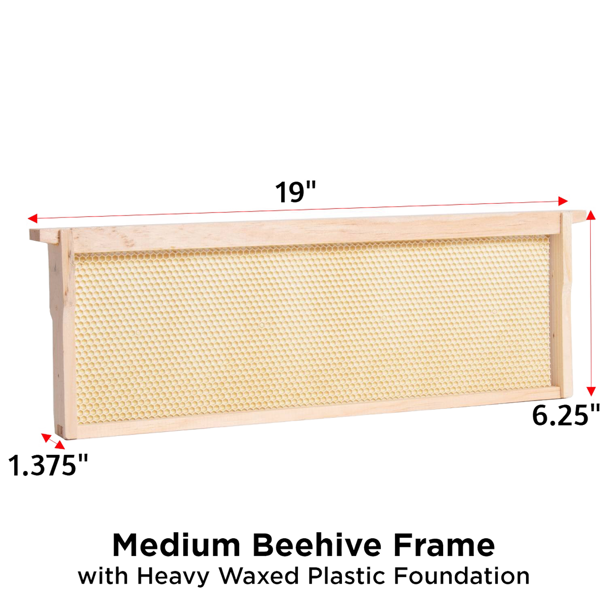 Medium Wood Bee Frame with Heavy Waxed Plastic