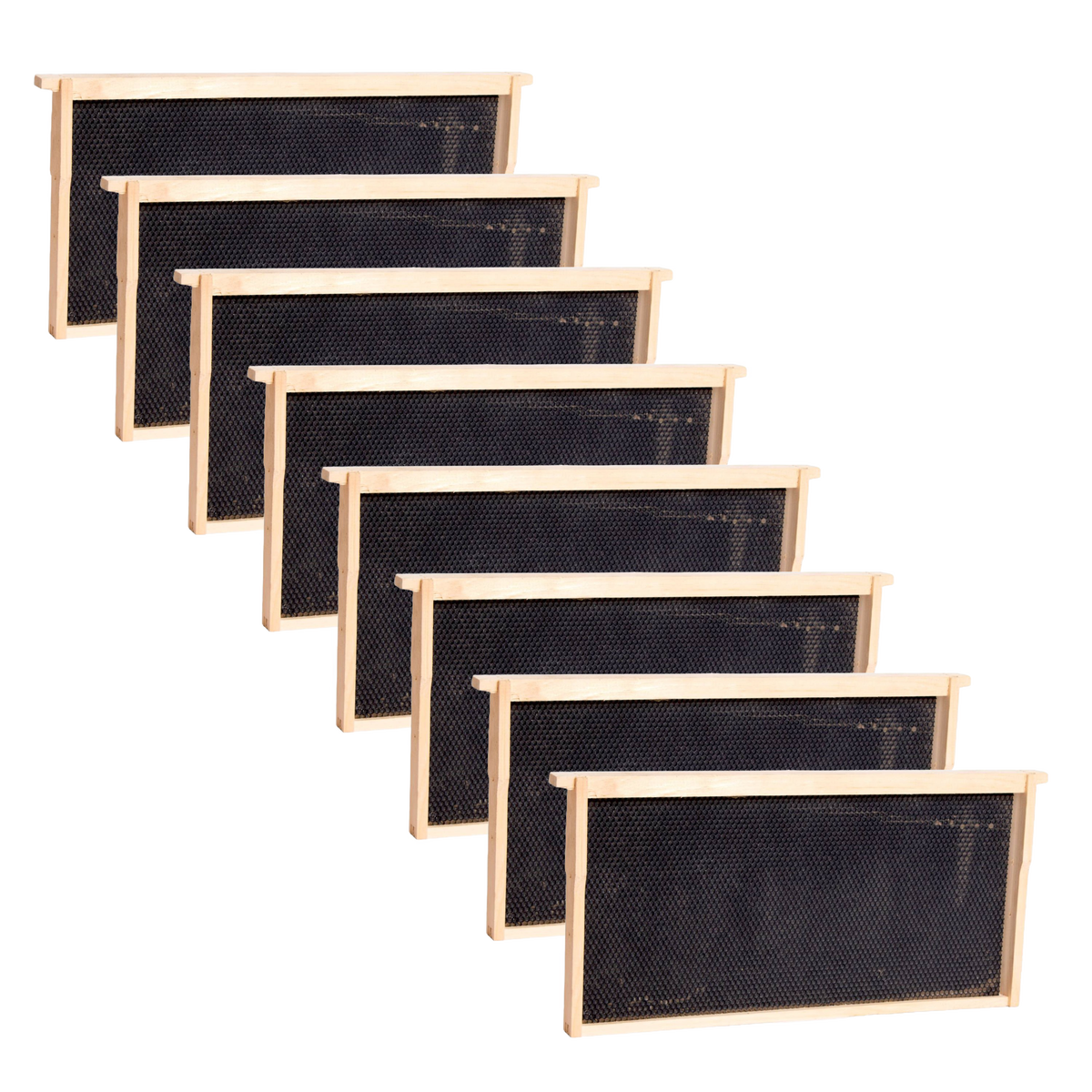 Deep Wood Bee Frame with Heavy Waxed Plastic