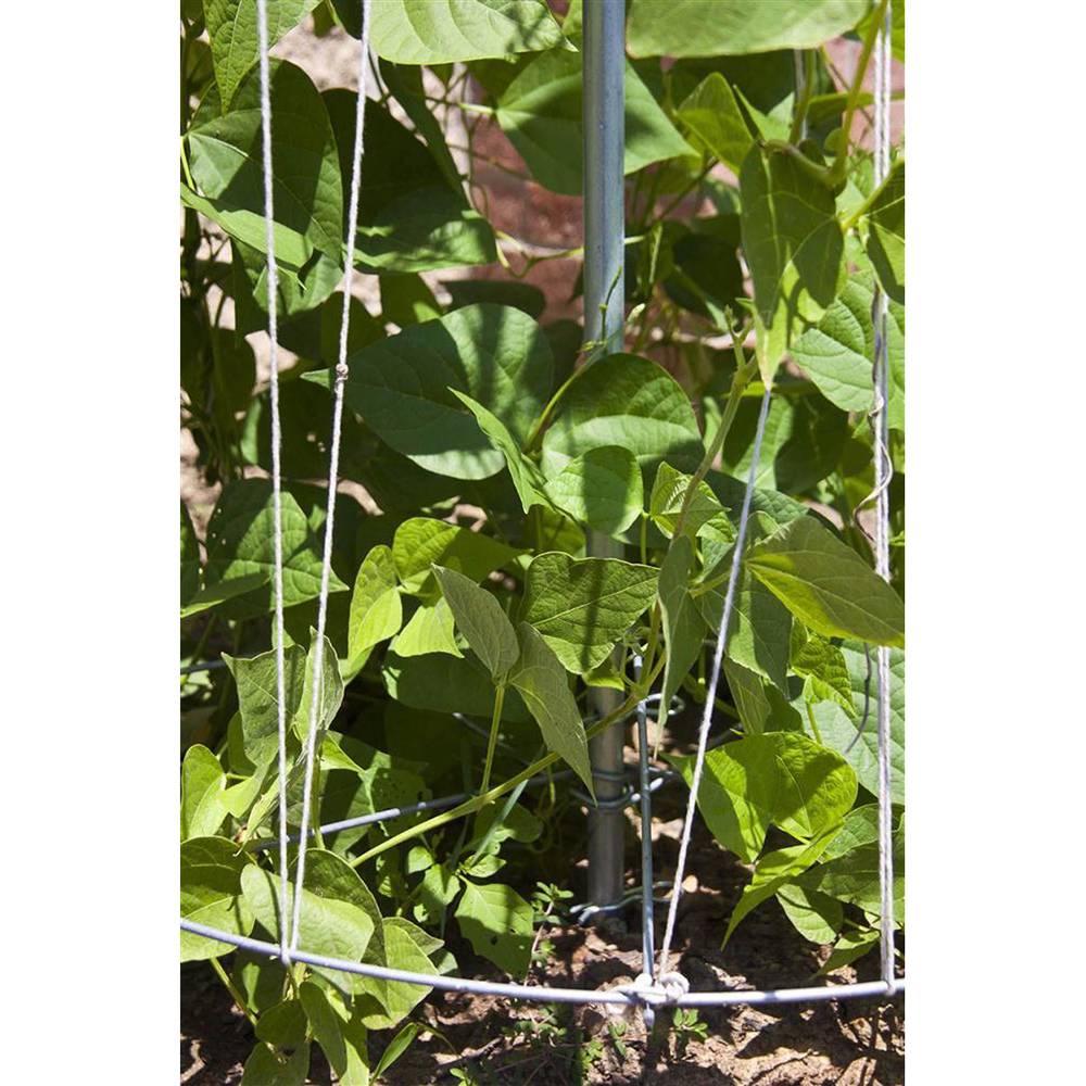 Bean Tower Trellis - USA Made