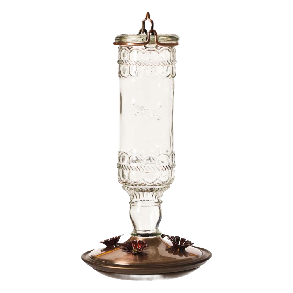 Hummingbird Clear Vintage-Style Bottle Feeder 10 oz