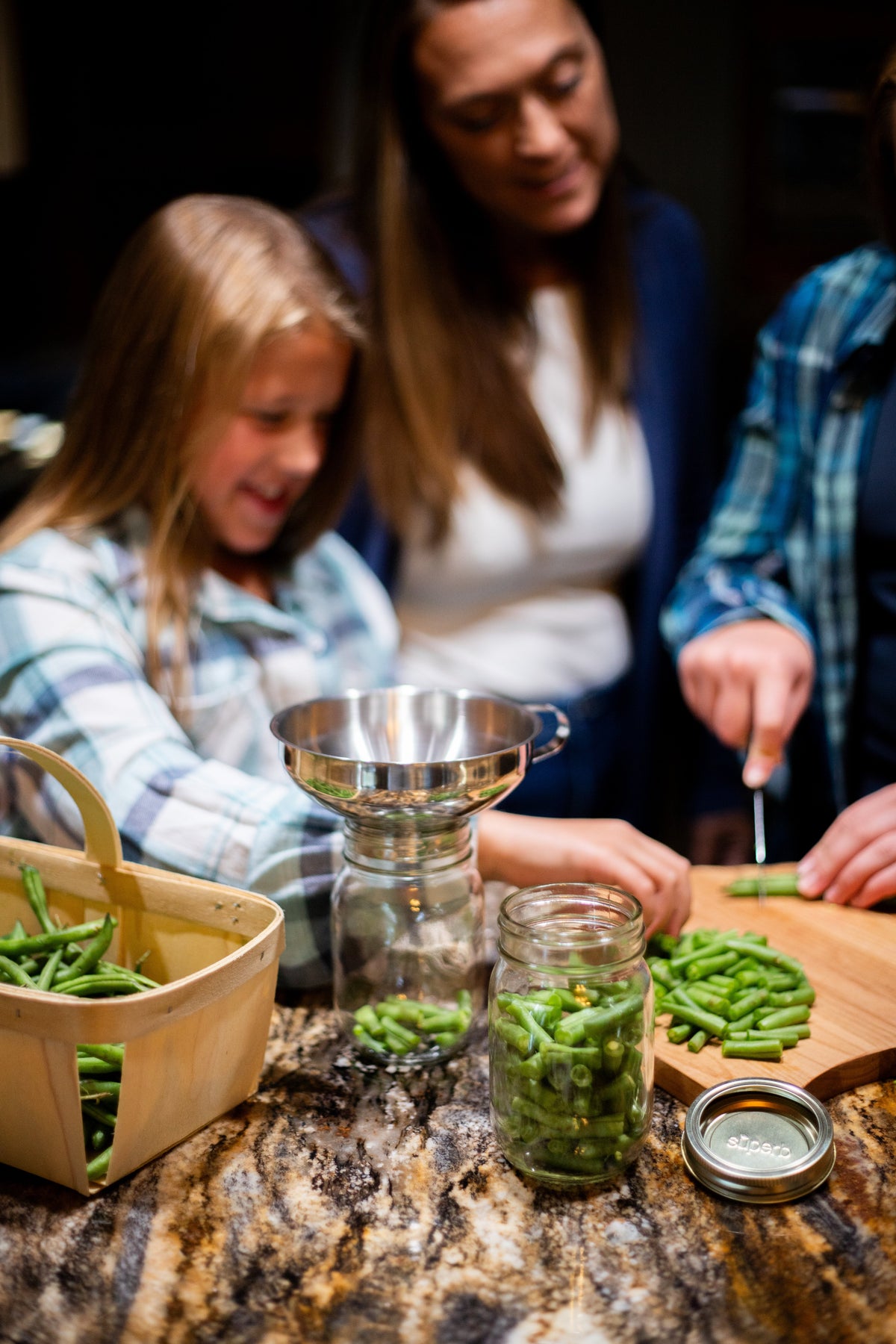 Preserving Food without Freezing or Canning Book