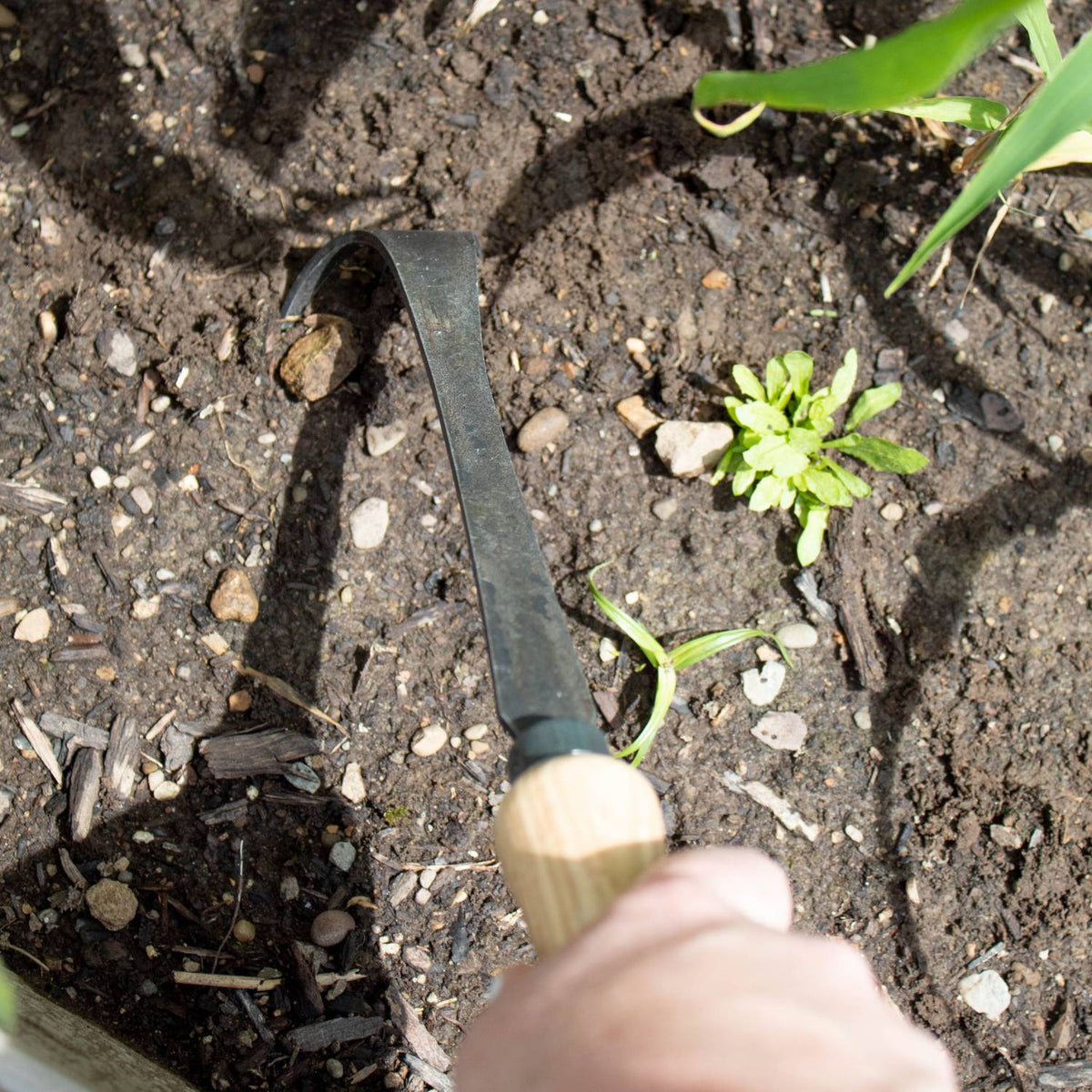 DeWit Bio 3-Tine Hand Cultivator