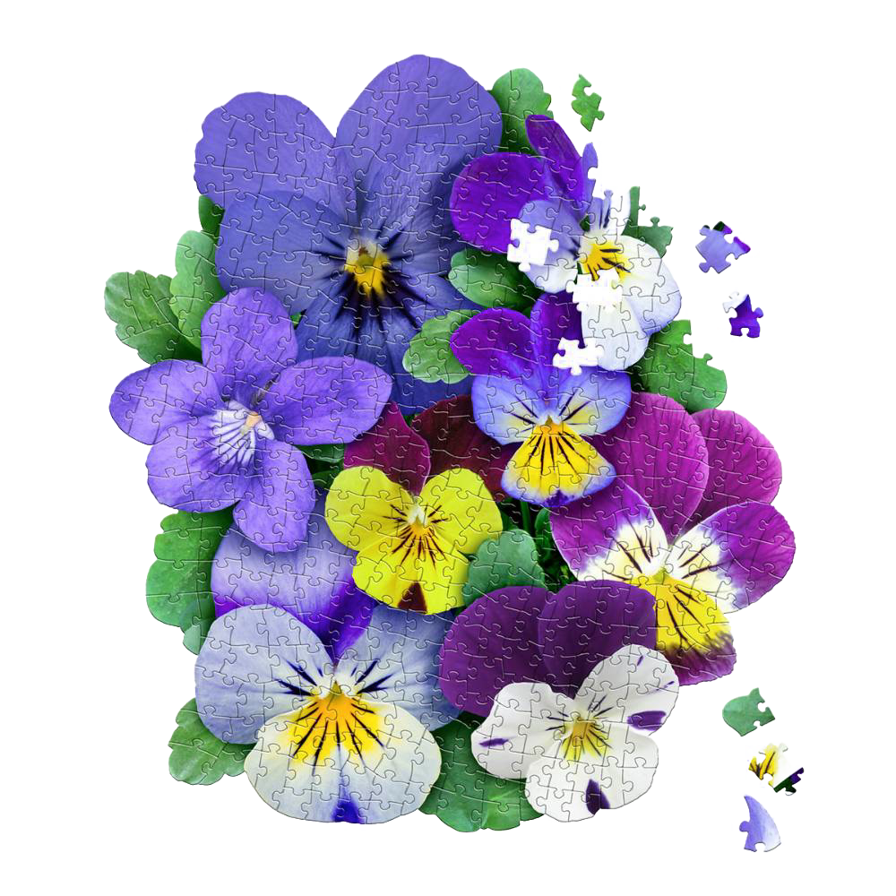 Shaped Jigsaw Puzzle - Violets - 350pcs